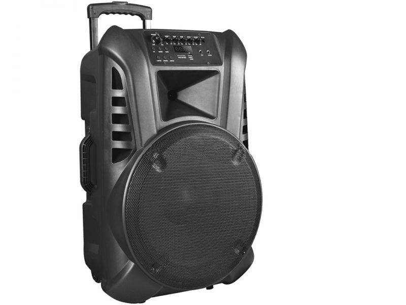 Boxa portabila cu bluetooth/USB/CardSD Mp3 12 INCH 40W
