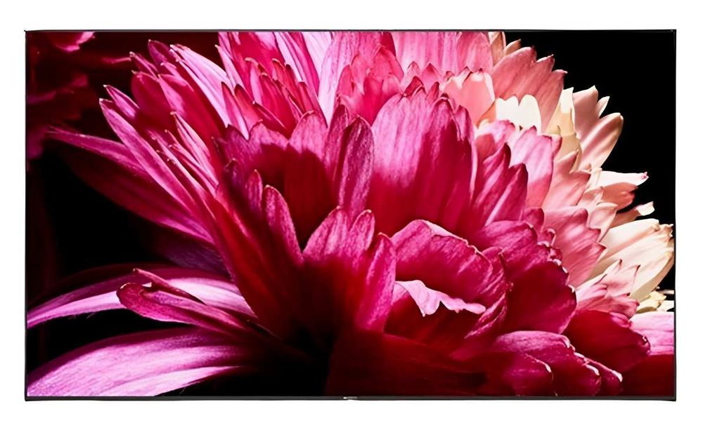 Monitor profesional 55 inch, 4K Ultra HD, 16/7, Wi-Fi, 3x intrari HDMI, Apple AirPlay/Chromecast, Sony DISPRO-SN-FW-55EZ20L