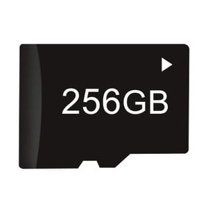 Card Micro SD pentru Camera Auto DDPAI, Clasa 10, 256GB, Viteza ridicata, DDPAI-256GB