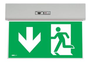Lampa emergenta evacuare, LED SMD, 0.5W, pictograma Sageata Jos, autonomie 2 ore, regim permanent, IP20, Arelux GO10M ADN