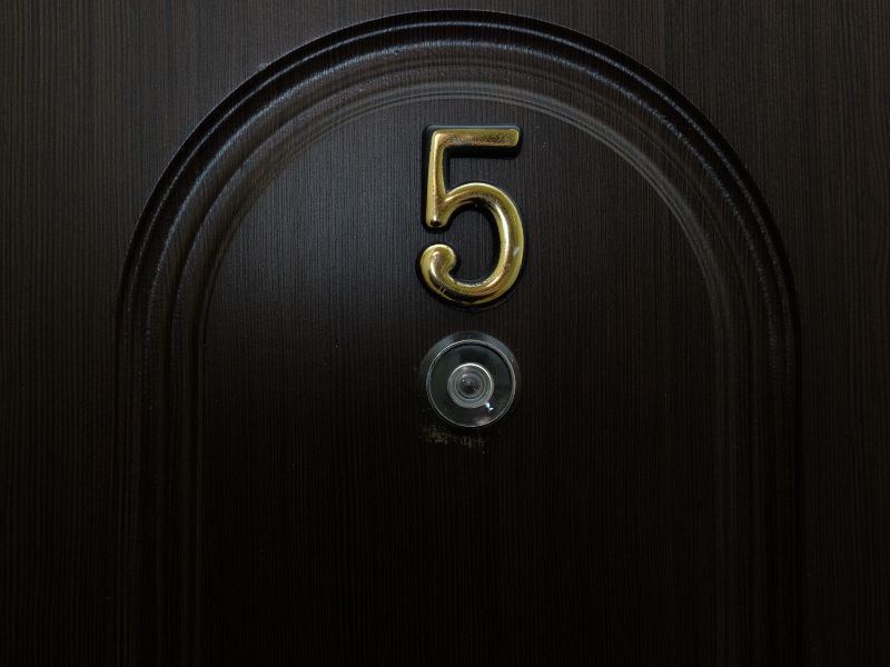 Vizor inteligent pentru usa cu camera video si aplicatie mobila