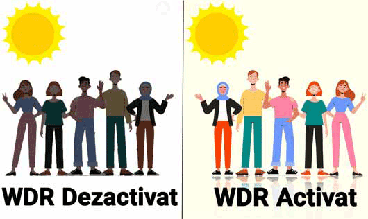 WDR (Wide Dynamic Range)