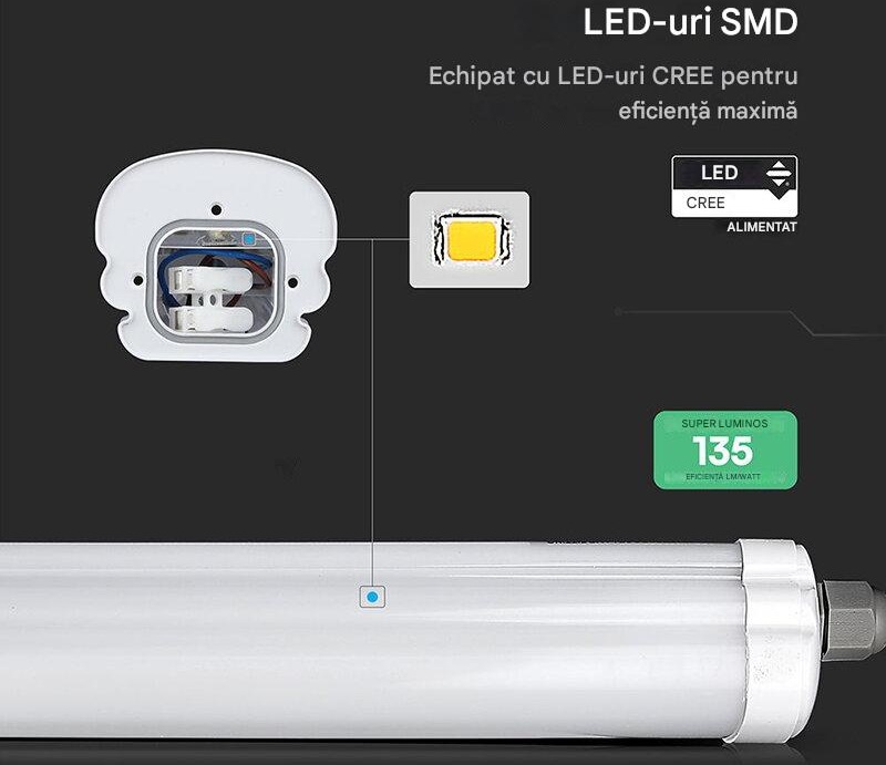 lampa