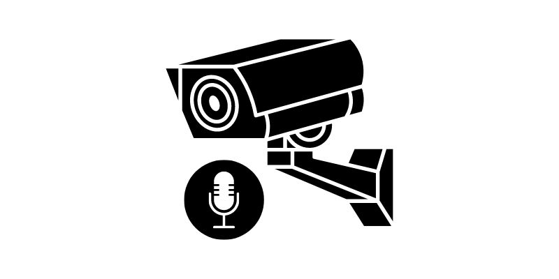 camera dispune de microfon audio