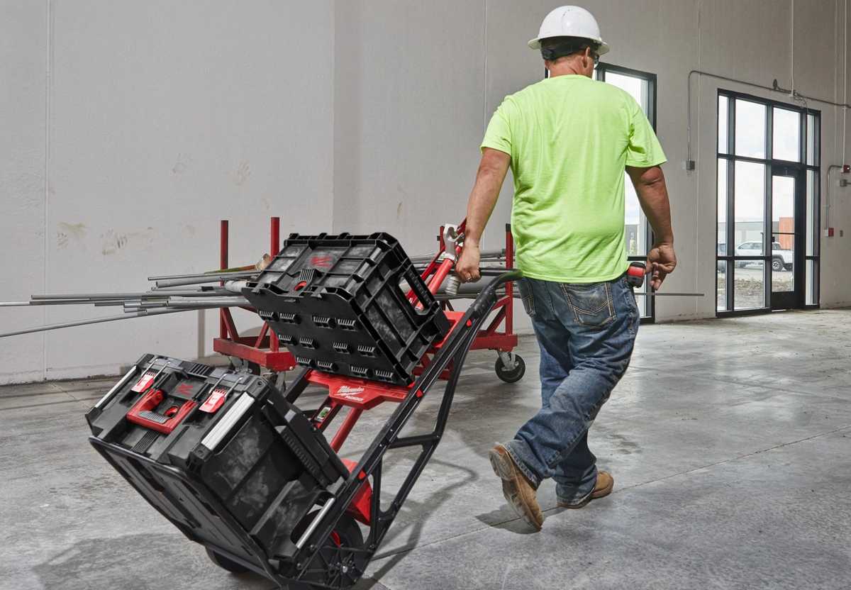 carucior cu 2 roti