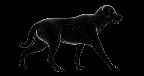 imunitate la animale de companie Detector de miscare PIR, cablat 4 fire, imunitate la animale de companie, Ajax, MotionProtectFibra(W)