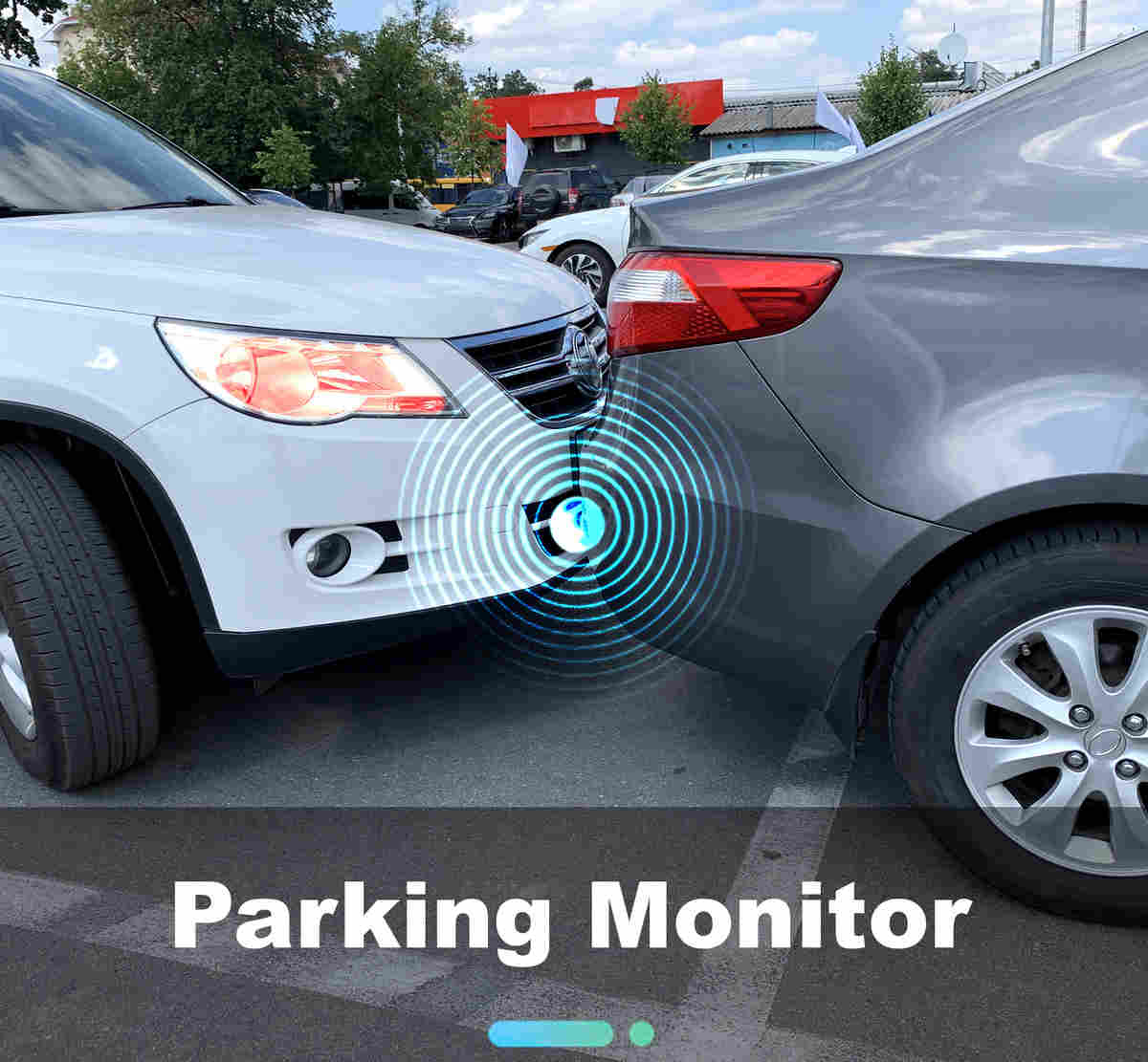 parkin voyager camera