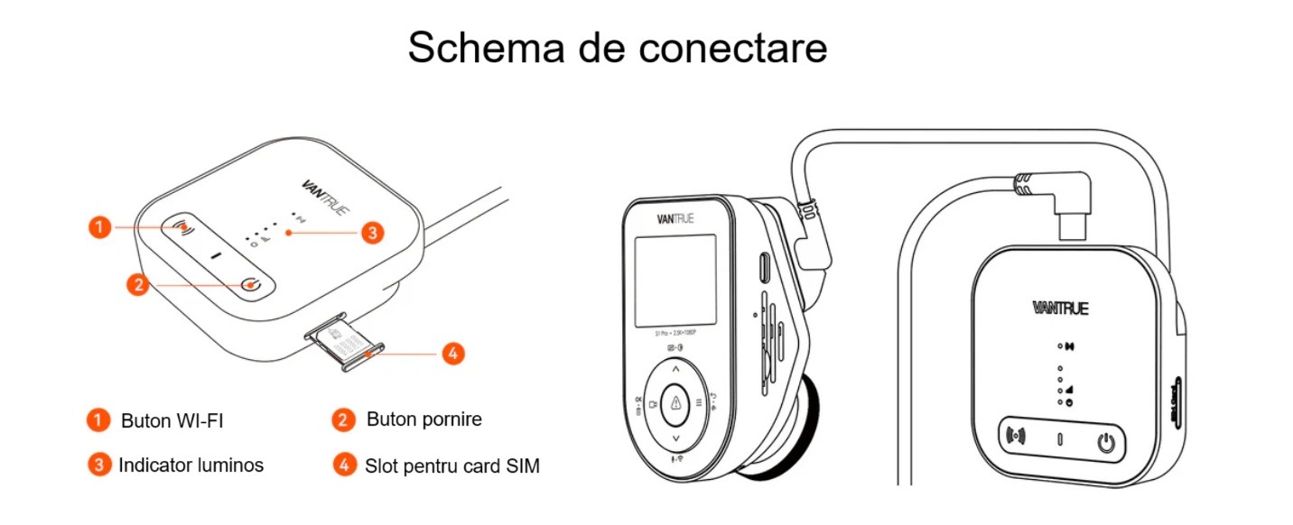 schema