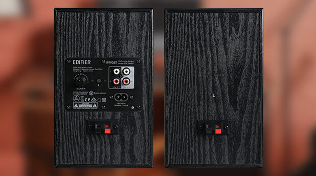 dual RCA