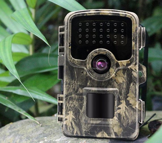 camera de vanatoare 4G