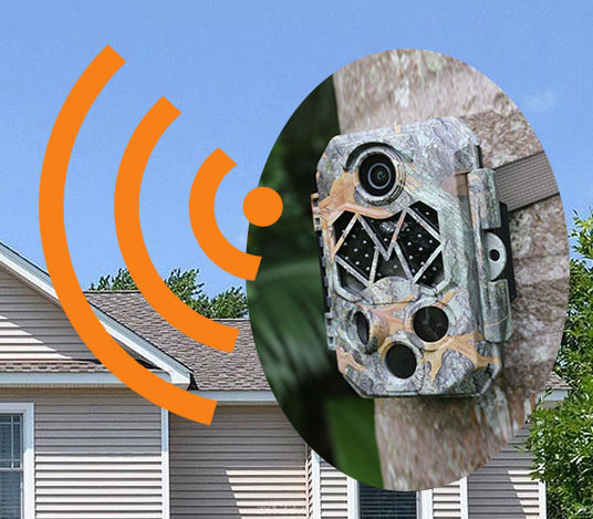 conexiune wifi la camera de vanatoare