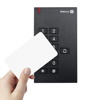 cititor control acces standalone sebury