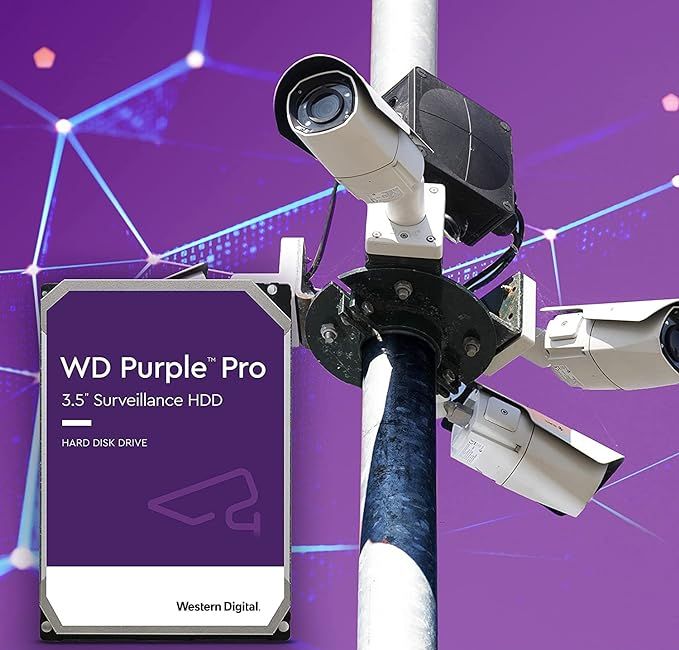 Imagine WD8001PURP hdd si camere video