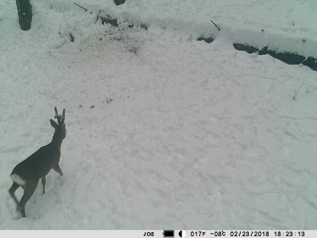 camera vanatoare PNI 3G