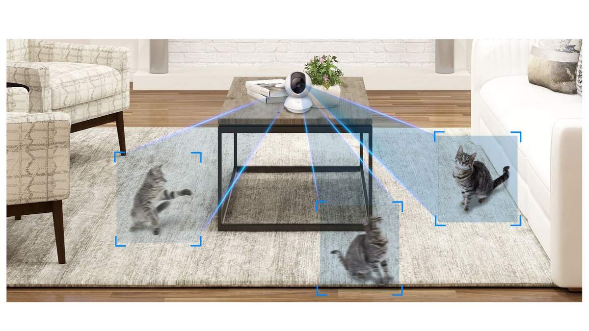 detectie si urmarire subiect