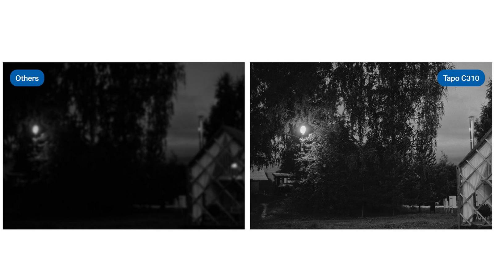 vedere nocturna
