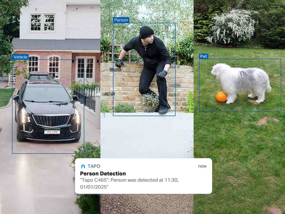 detectie cu AI oameni, animale, vehicule