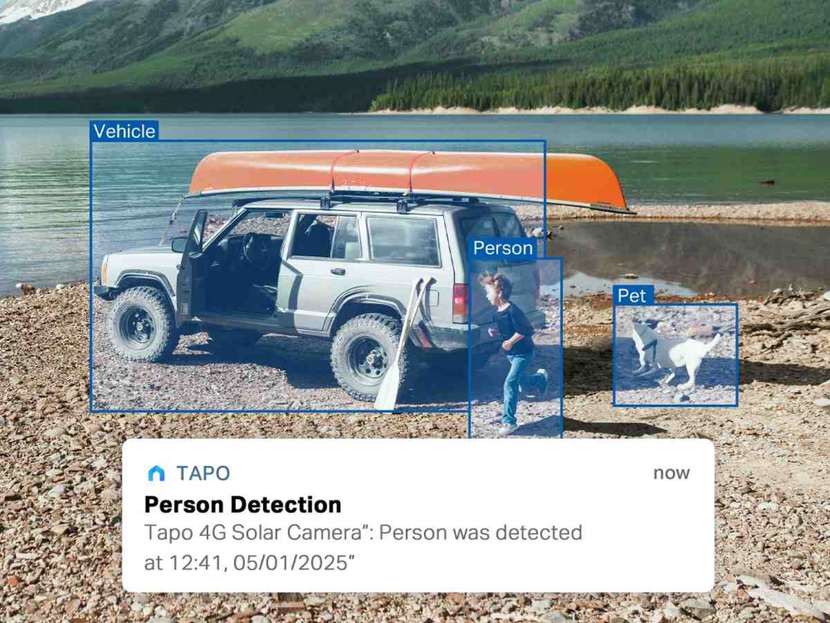 detectie AI de persoane, vehicule, animale