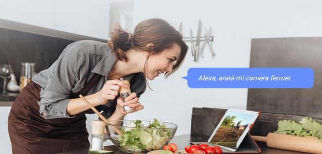 camera, comunicare cu Alexa