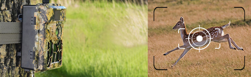 realizare fotografii camera PNI