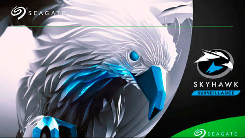 seagate skywawk