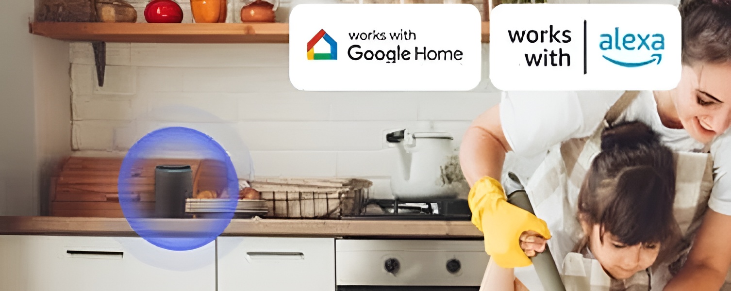 alexa si google home sonoff