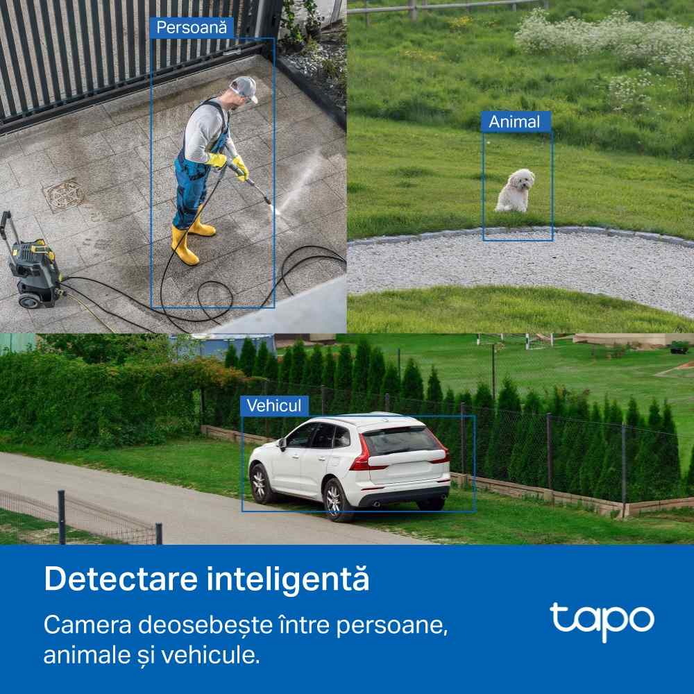 Tp-Link Tapo detctie animale, oameni, vehicule