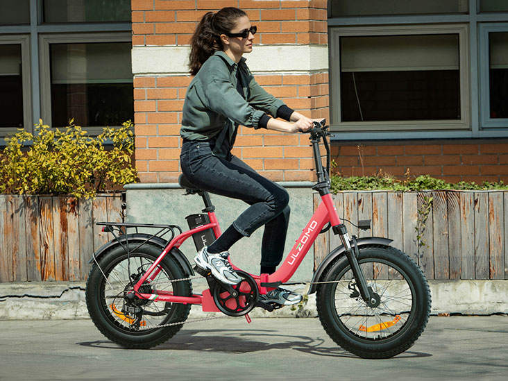 Bicicleta electrica pliabila Ulzomo ULZDPH20-BK 350km