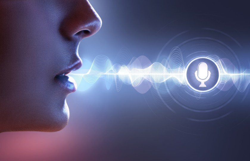 control vocal google si Siri pentru deschidere poarta