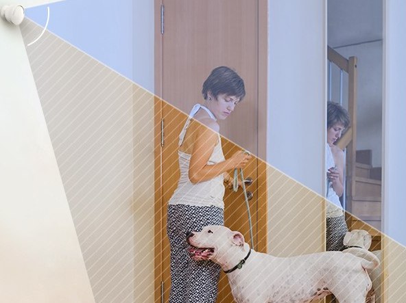 senzor pir eziviz