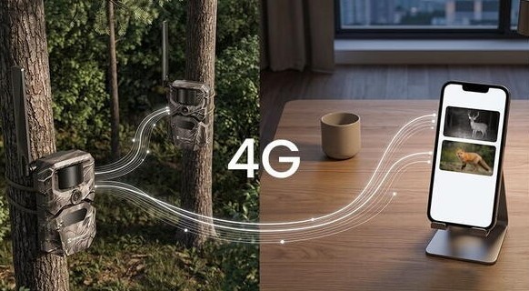 functie 4G