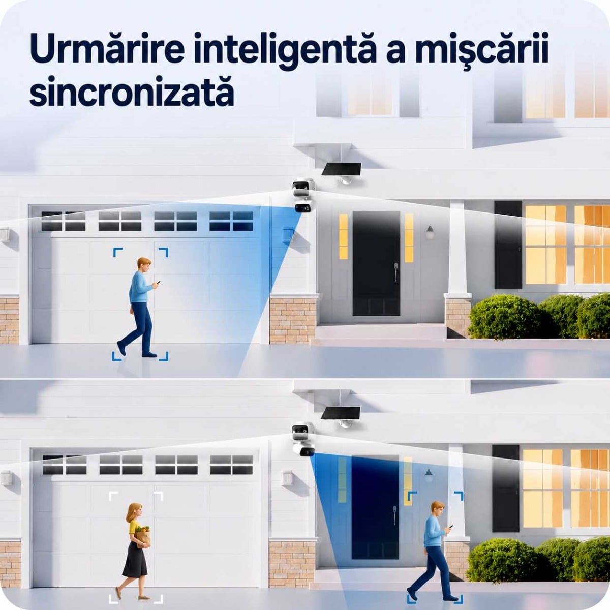 miscare