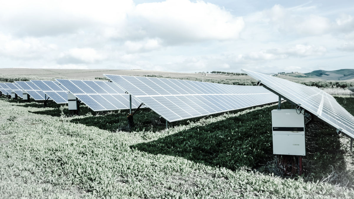Cand a fost inventata energia verde? Tot ce trebuie sa stii despre inceputurile si evolutia energiei ecologice