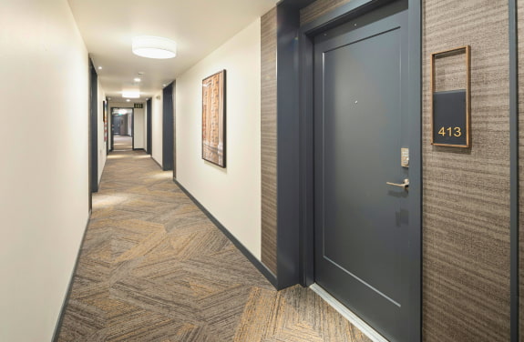 Yala electromagnetica reversibila pentru usi.&nbsp;